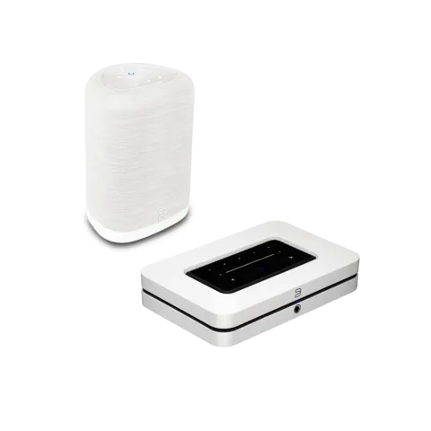 NODE (N132) + Bluesound PULSE FLEX (P130)