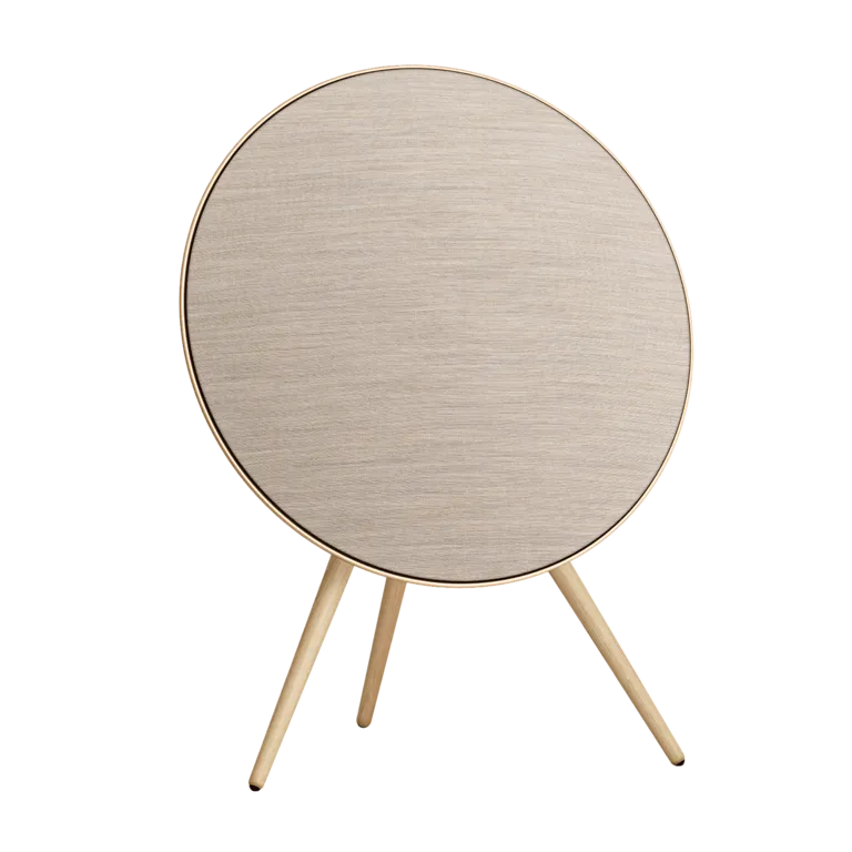 Bang & Olufsen Beosound A9 5th Gen.