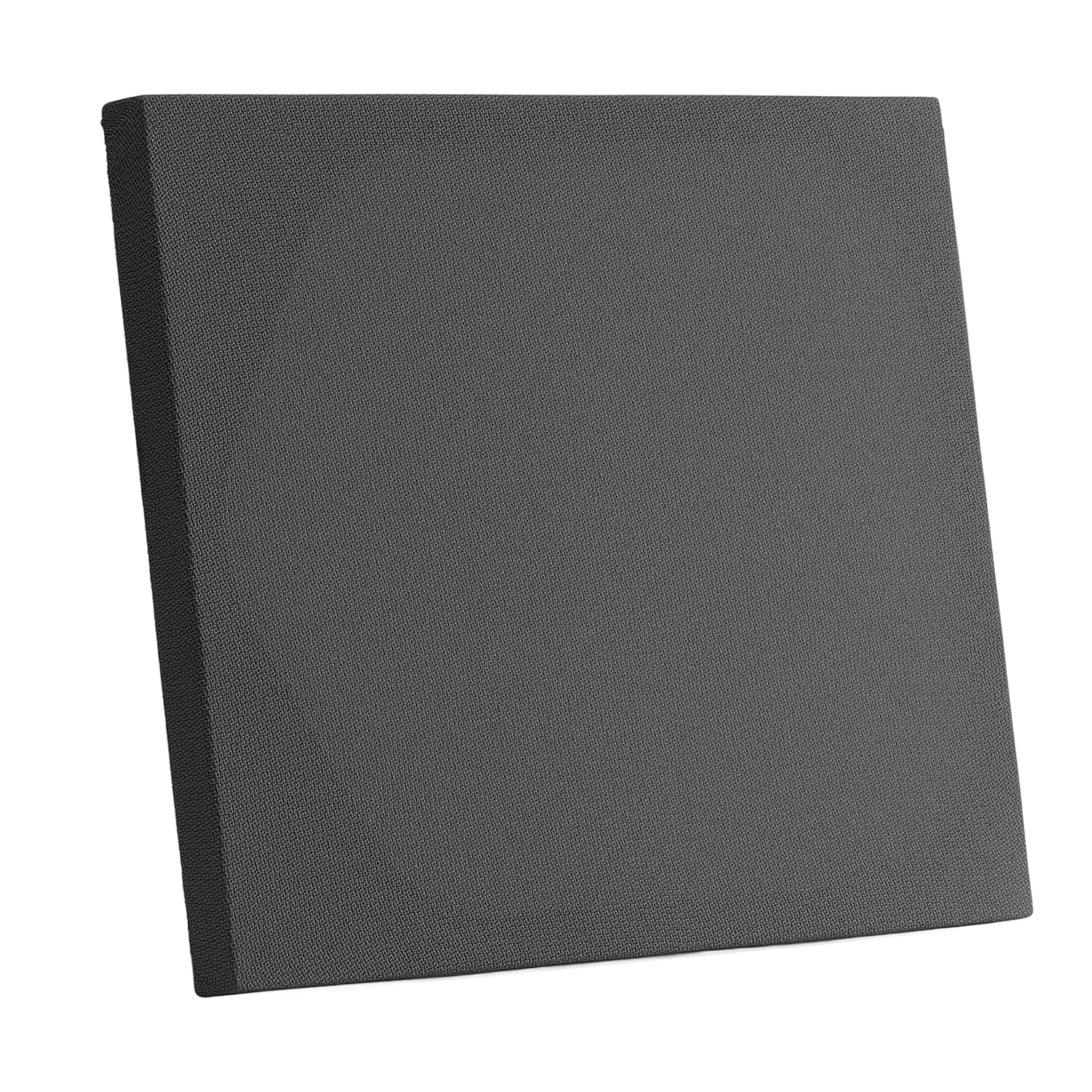 Speaker Frame 1215