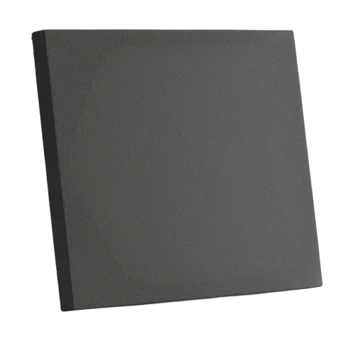 Speaker Frame 1215