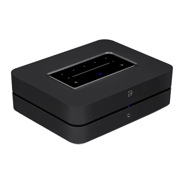 Bluesound POWERNODE (N330)