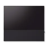 Canvas 65 Inches