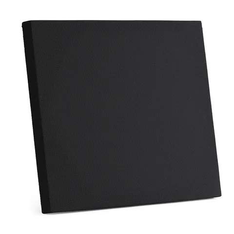 Speaker Frame 1215