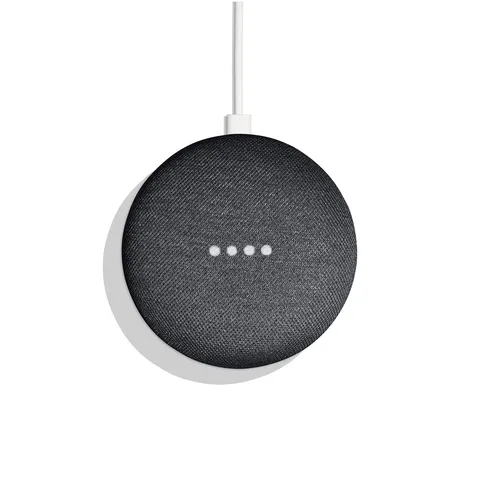 Home Mini