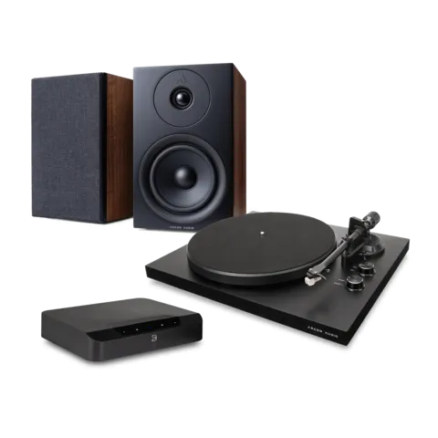 TT MK2 + Argon Audio FORUS 5 + Bluesound POWERNODE EDGE (N230)