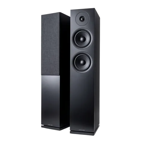 FORUS 55