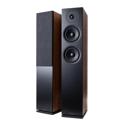 FORUS 55