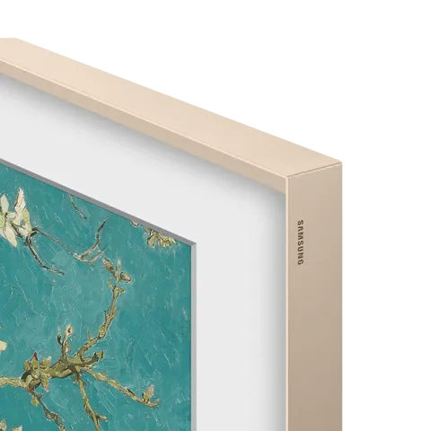 The Frame - Frame 50" 2023-2024