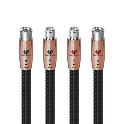 Black Beauty (XLR)