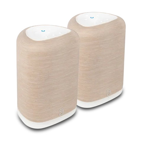 Zwei Bluesound PULSE FLEX P130