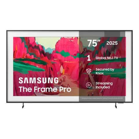 The Frame Pro