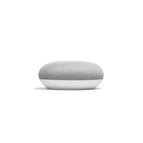 Home Mini