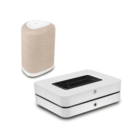 POWERNODE (N331) + Bluesound PULSE FLEX (P130)