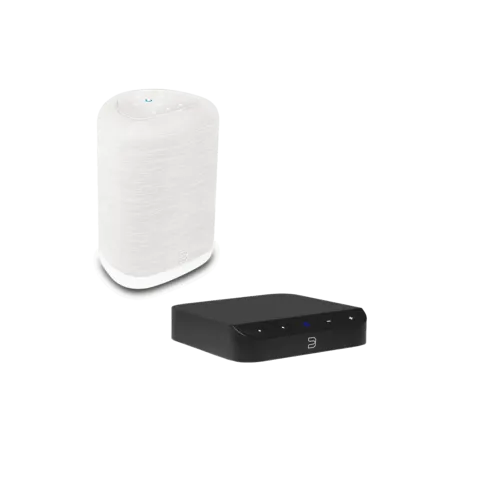NODE NANO (N030) + Bluesound PULSE FLEX (P130)