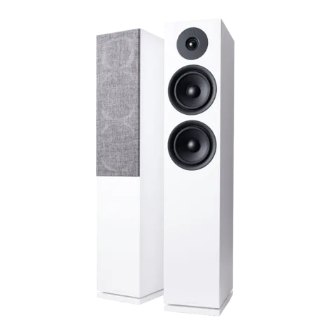 FORUS 55