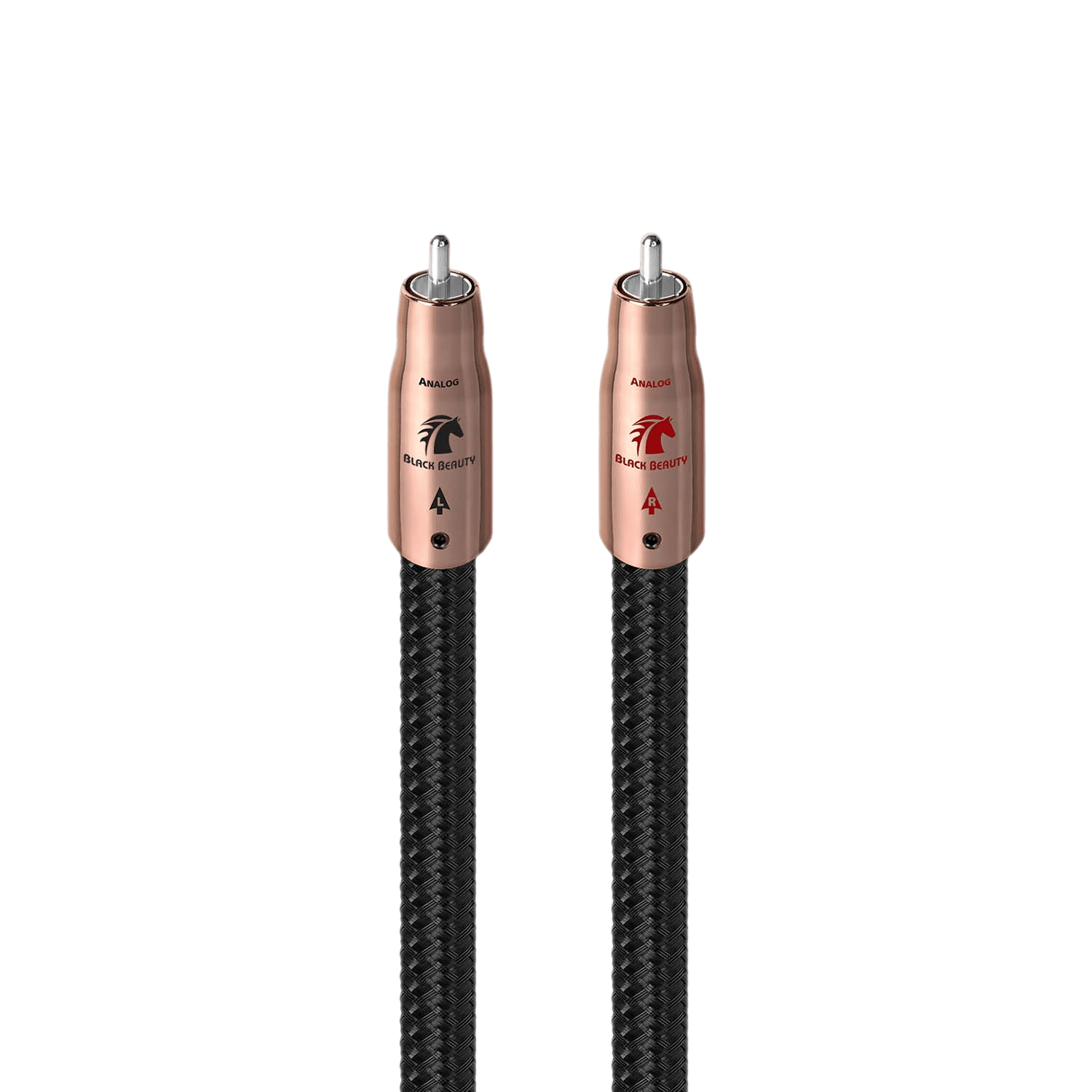 Black Beauty (XLR)