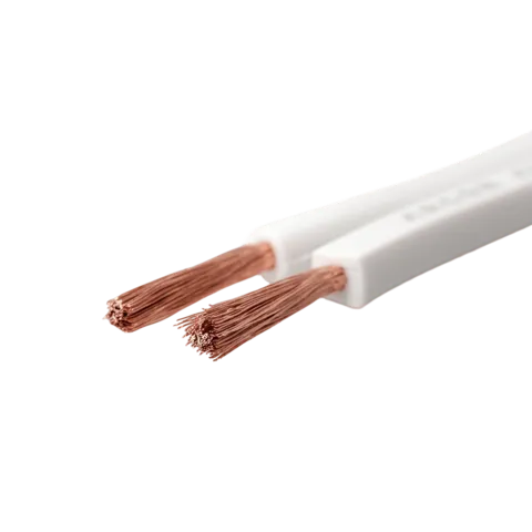 Basic Speaker Cable 2