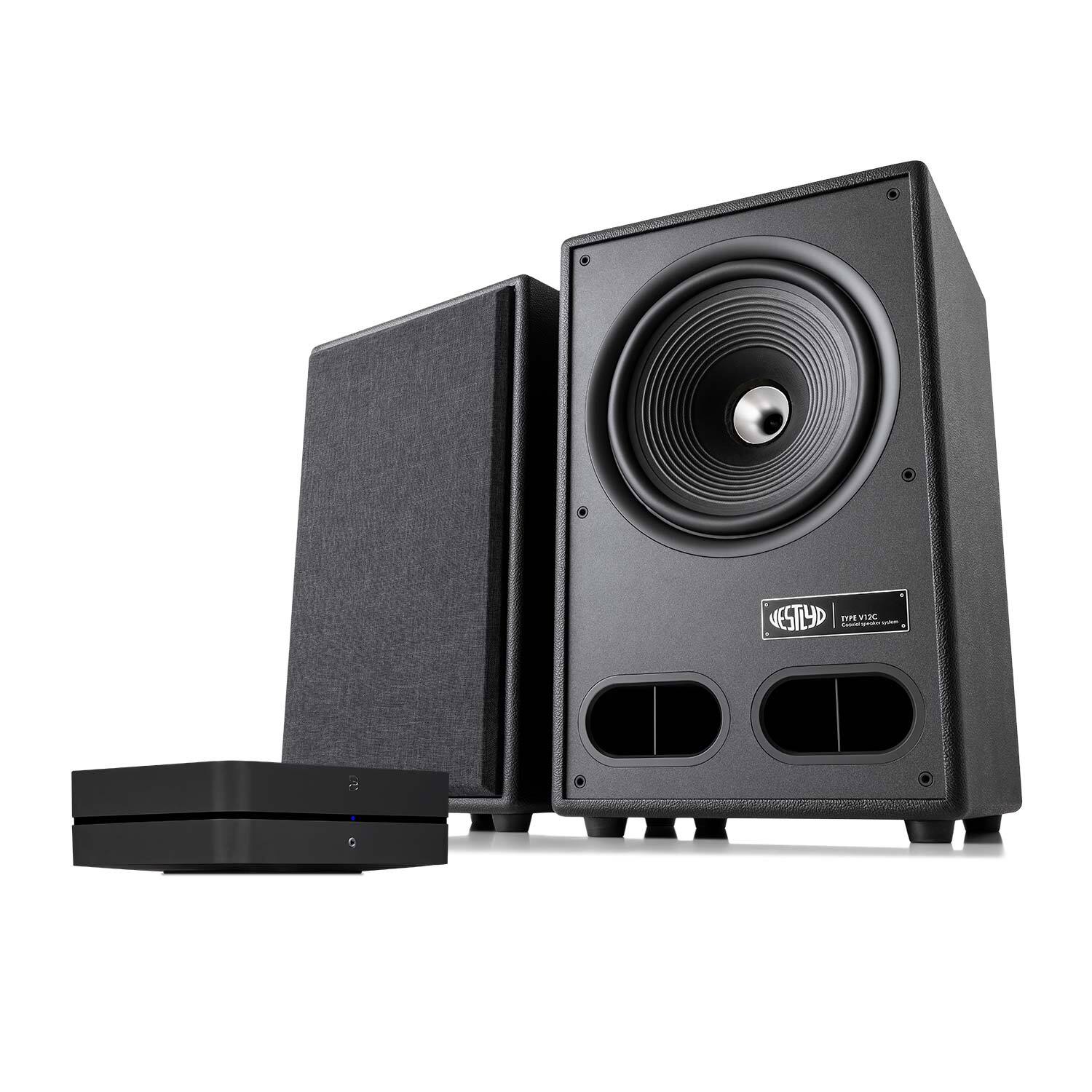 Bluesound POWERNODE (N330) + Vestlyd V12C Stereoanläggning till TV